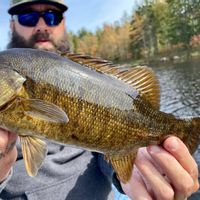 Smallmouth Bass