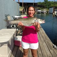 Texoma Striper Fishing