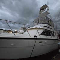 On The Run Sportfishing