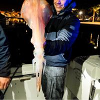 Fishing Charter - Denia, Spain (Mediterranean)