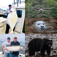 Reel Alaska Fishing Charters