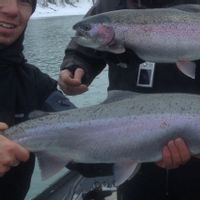 Kenai Peninsula Fishing Charters