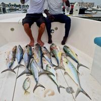 Sharing Fishing Trip - Ocealics