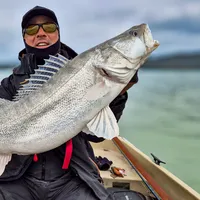 6H Private Predator Fishing – 1 Guest