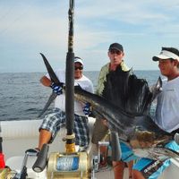 38 ft Custom Sportfisher Fishing Charter