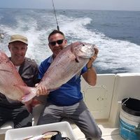 Alvor Fishing Donzela