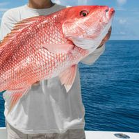 Top Rated Best Saltwater Fishing Charter