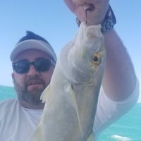Bottom Fishing in the Gulf