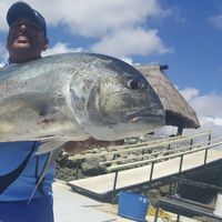 Golden Point Fishing Charters