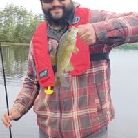 Legendary; Premium Multi-Species Guiding