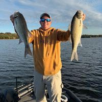 4hr Hybrid and Striped Bass Charter