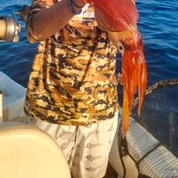 Deepsea fishing in Gaeta!!!