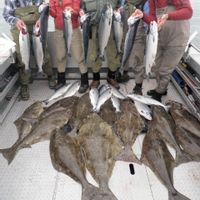 Kenai Peninsula Fishing Charters