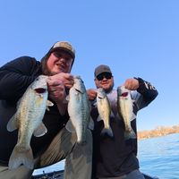 Canyon Lake Bass Fishing Guide