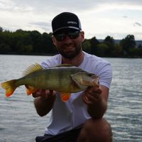 MULTI SPECIES Shore Spinning In Danube