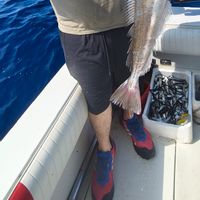 Deepsea fishing in Gaeta!!!