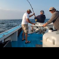 Giant Bluefin Tuna charters