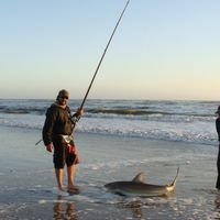 Damaraland Photographic and Skeleton Coast Fishing Safari