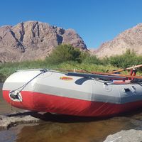 Orange River Yellowfish Safari