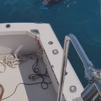 Macaronesia charter (La Gomera, Canary)