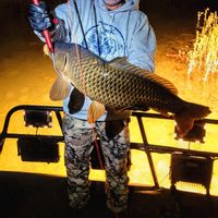 Missouri Bowfishing, Gigging, and Trout