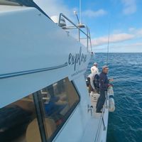 Sport Fishing in the Arrábida region