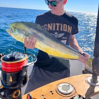 Aqua Fishing Charters