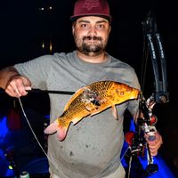 Missouri Bowfishing, Gigging, and Trout