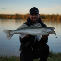 MULTI SPECIES Shore Spinning In Danube
