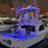 Boca Raton Fishing Charters Madeira