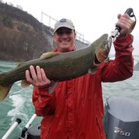 Niagara River Steelhead Fishing Charter