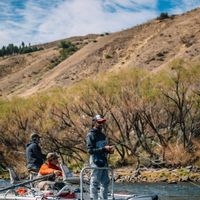 Fly fishing in Northern Patagonia