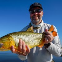 Golden Dorado at Rio Bravo, Argentina