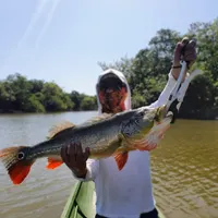 El Kapricho PCR Vichada Colombia
