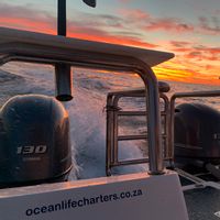 Ocean Life Fishing Charters