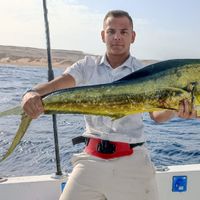 Yellow Fin 3 Sport Fishing