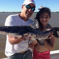 Dorado Fishing in Argentina