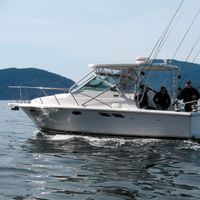 Mongoose Striker Fishing Charters