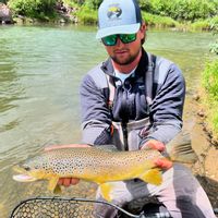 Jefferson River Guided Fly Fishing