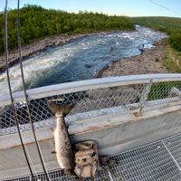 Atlantic salmon fly fishing