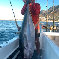 Ocean Life Fishing Charters