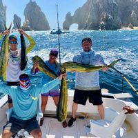 Cabo san lucas fishing Charters