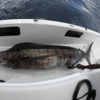 Proffesional Fishing Charter
