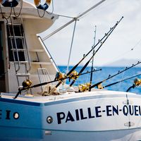 Full Day Fishing in Mauritius