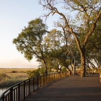 Photographic Safari + Zambezi Region Tiger/Nembwe Fishing