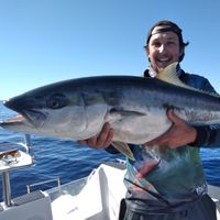 New Zealand Sportfishing