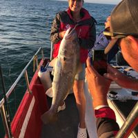 Deep Sea Fishing in Mossel Bay