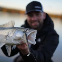 MULTI SPECIES Shore Spinning In Danube