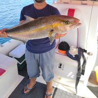 Captain Salim Fishing Trip on Aldhaen