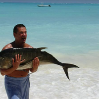 SEAFOOD TOURS ZANZIBAR